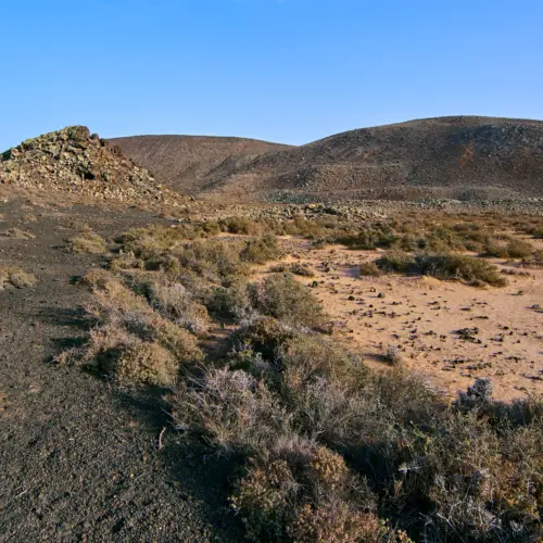 iStock-888300886bayuyo trail_result